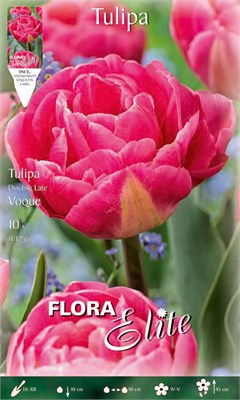  Vogue 817465