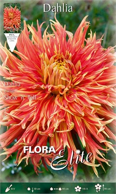 ������ Cactus Show n Tell 816147