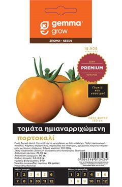   /   PREMIUM