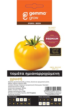   /   PREMIUM