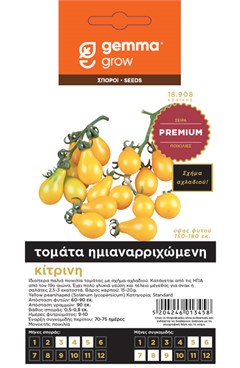   /   PREMIUM