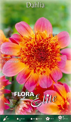 ������ Special ������� Floorinoor 786006