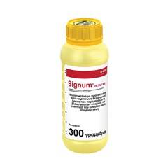 Signum 26,7/6,7 WG 