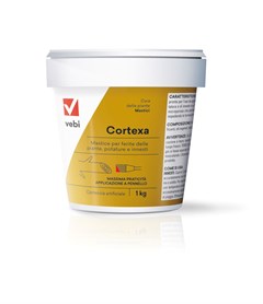 Cortexa  