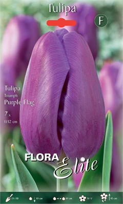  Purple Flag (. 7 )