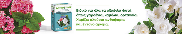 Θεματικό banner για τον χώρο πώλησης