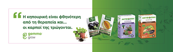 Banner παρουσίασης προϊόντων