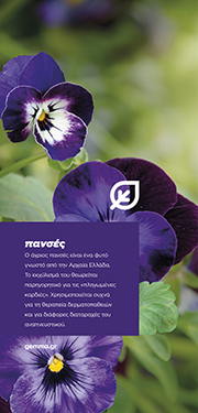 Θεματικό banner · πανσές