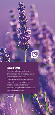 Θεματικό banner · λεβάντα