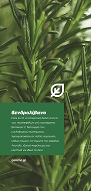 Θεματικό banner · δενδρολίβανο