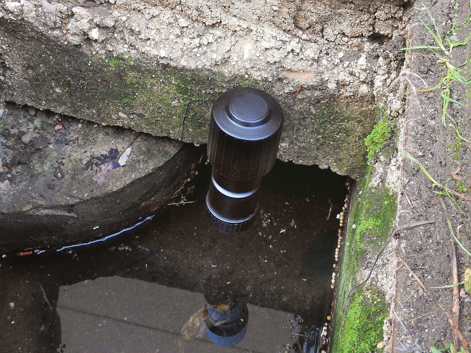 Moskyp ������