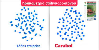 carakol-kokkos.jpg